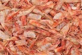 Shrimp head shell meal 40% protein image 1